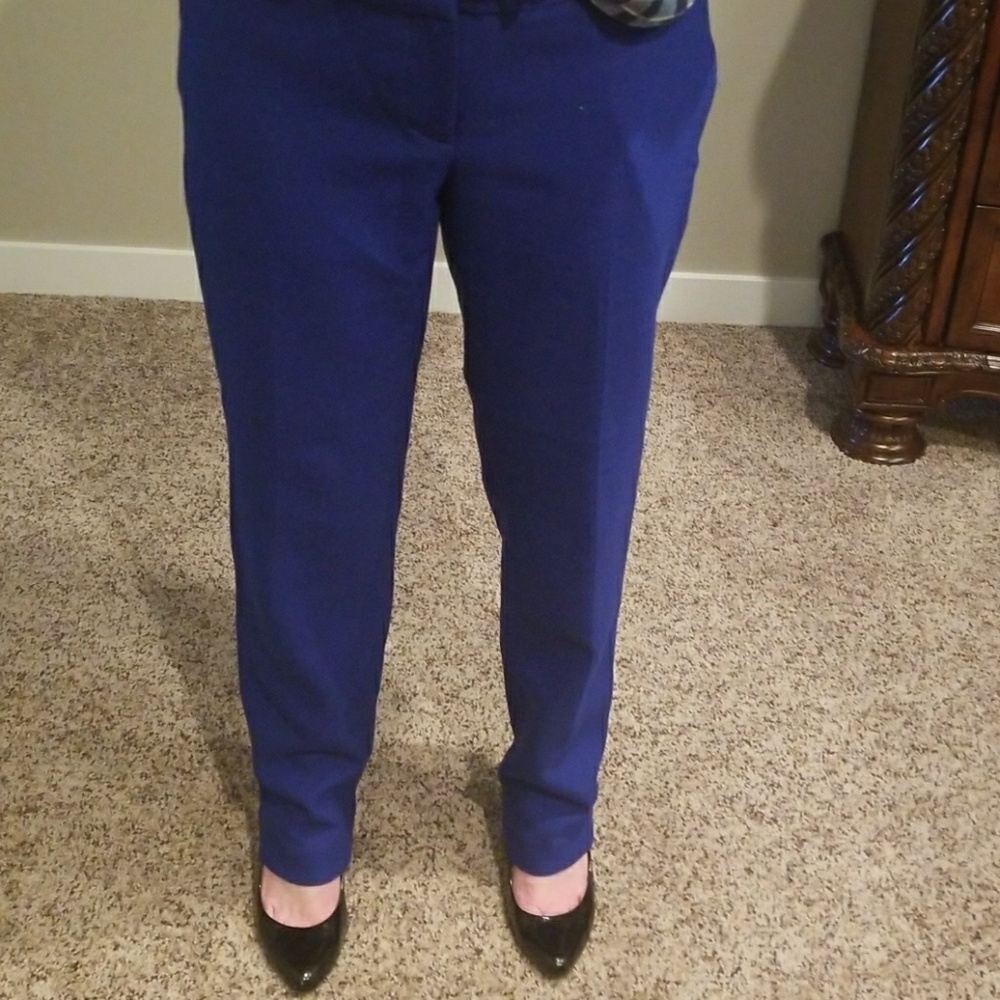 Royal blue Ann Taylor loft petite dress pants